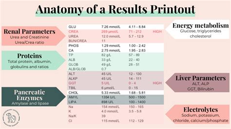 Understanding Normal Biochemistry Test Results
