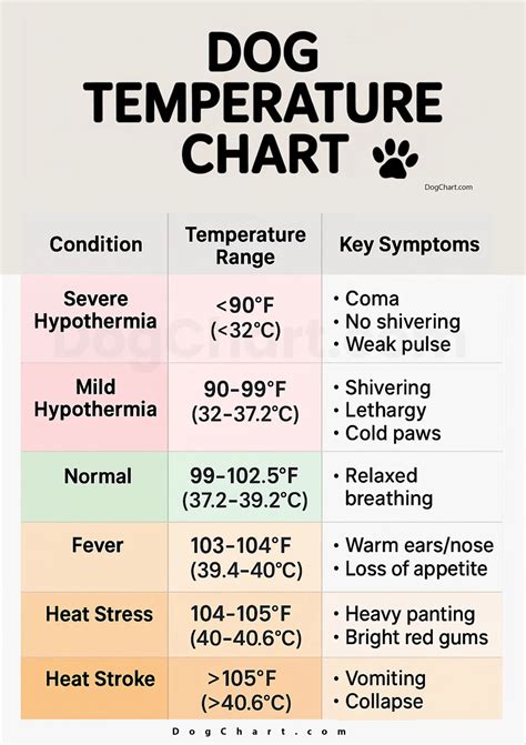 Understanding Normal Canine Temperature Ranges