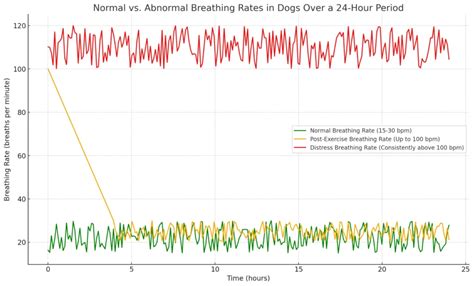 Understanding Normal vs. Abnormal Dog Breathing