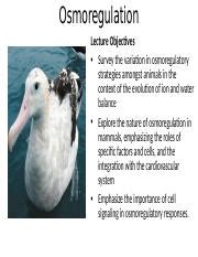 Understanding Osmoregulation: The Key Challenge