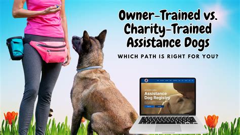 Understanding Owner-Trained vs. Program-Trained Service Dogs