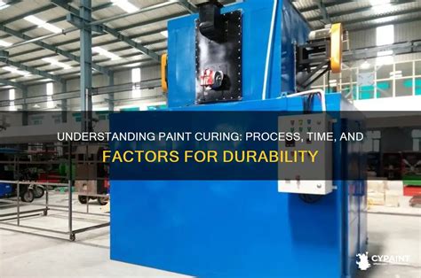 Understanding Paint Curing Time