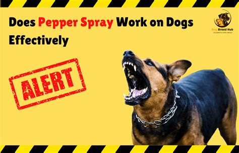 Understanding Pepper Spray and Dogs