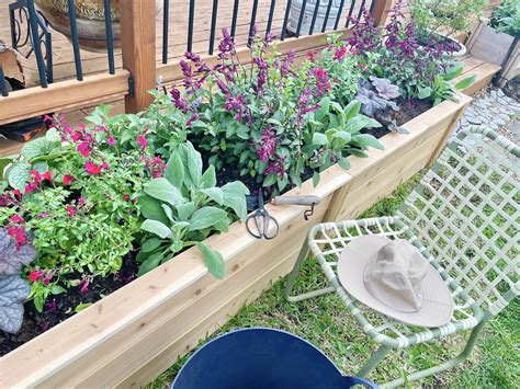 Understanding Perennial Needs