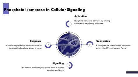 Understanding Phosphate and Its Role