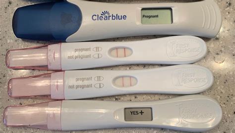 Understanding Pregnancy Test Results