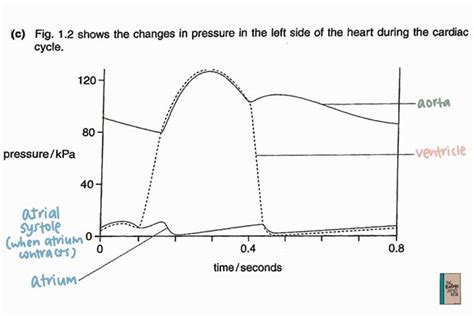 Understanding Pressure Changes