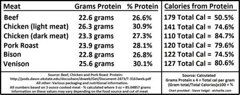 Understanding Protein Levels in Dog Food