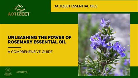 Understanding Purity: How to Choose Quality Rosemary Oil Near Me