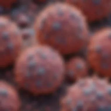 Understanding Sarcomatoid Carcinoma