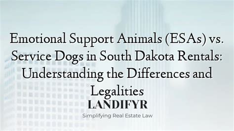 Understanding Service Dogs vs. Emotional Support Animals (ESAs)