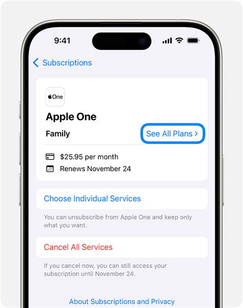 Understanding Subscriptions on iPhone