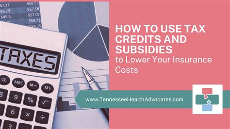 Understanding Subsidies and Tax Credits