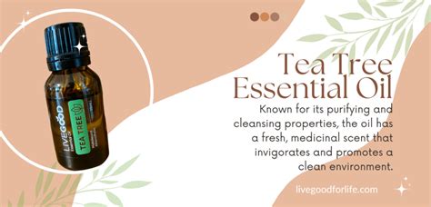 Understanding Tea Tree Oil's Properties