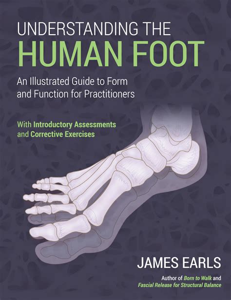 Understanding The Human Foot: An Illustrated Guide To Form And Function For Practitioners