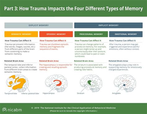 Understanding Trauma's Impact