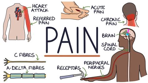 Understanding What Growth Pain Really Is