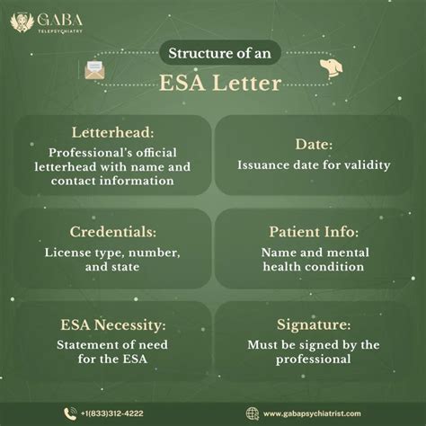 Understanding What an ESA Letter Actually Does