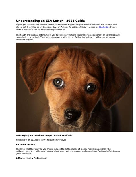 Understanding What an ESA Letter Actually Is