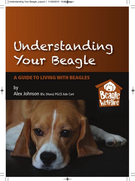 Understanding Your Beagle