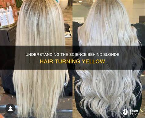 Understanding Your Blonde
