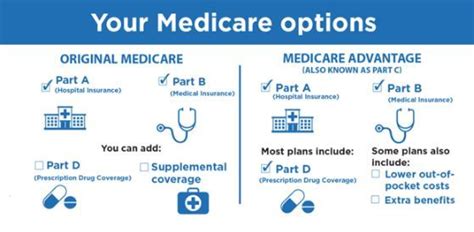 Understanding Your Coverage Options