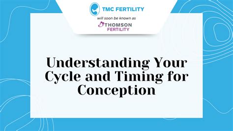 Understanding Your Cycle: The Foundation of Conception