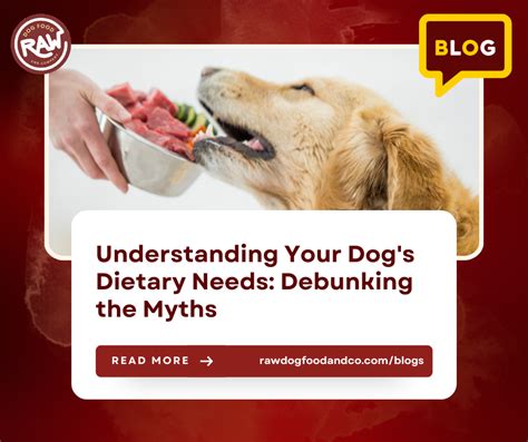 Understanding Your Dogs Dietary Needs