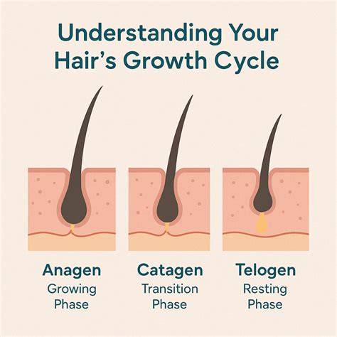 Understanding