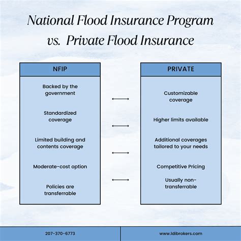 Understanding Your Options: NFIP vs. Private Market