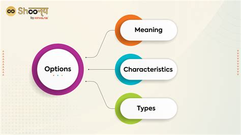 Understanding Your Options: Where to Look First