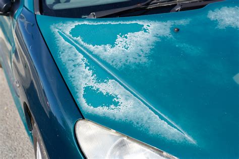 Understanding Your Paint Damage