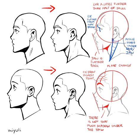Understanding