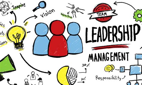 Understanding the Basics of Management