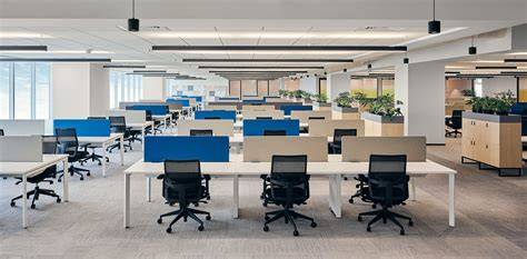 Understanding the Basics of Office Space