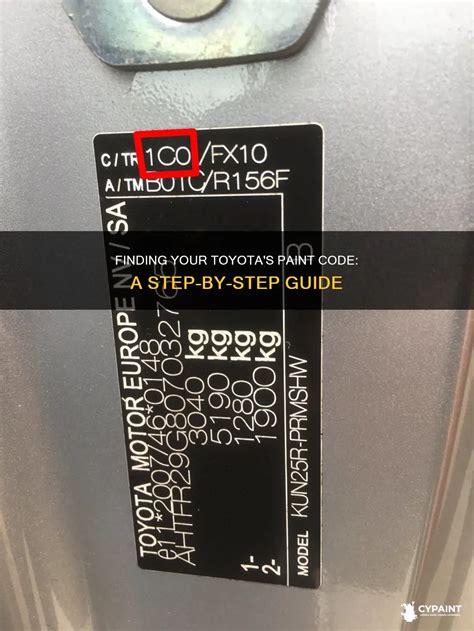 Understanding the Basics of Toyota Paint Protection