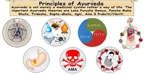 Understanding the Core Ingredients and Ayurvedic Principles