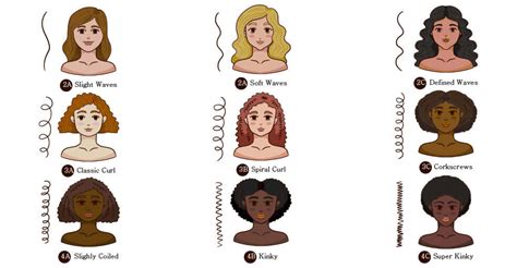 Understanding the Curl Scale