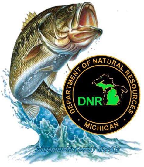 Understanding the DNR Fishing Report Michigan
