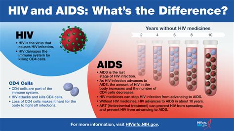 Understanding the Difference: HIV vs. AIDS