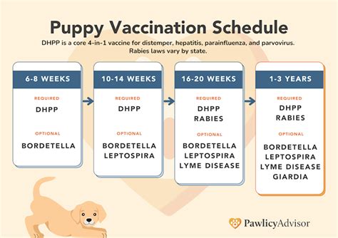Understanding the Dog Vaccination Schedule