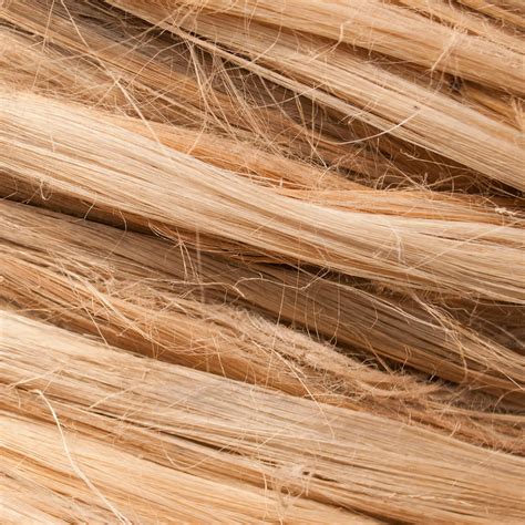 Moroccanoil Frizz Control