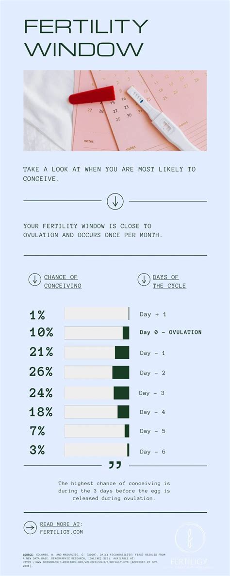 Understanding the Fertile Window