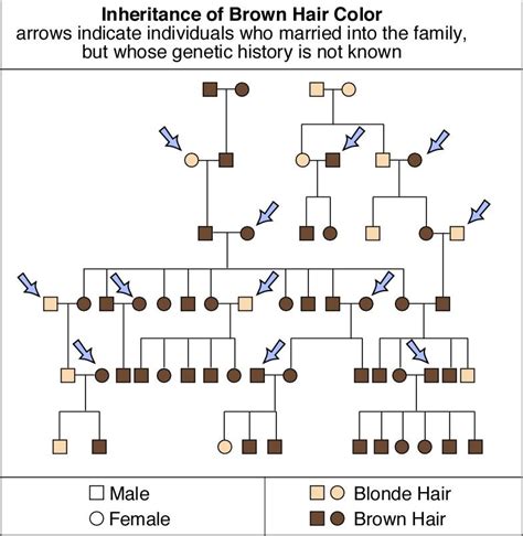 Understanding