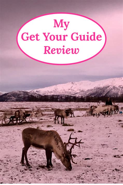 Understanding the Get Your Guide Review System