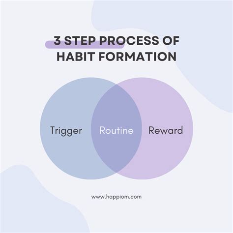 Understanding the Habit Formation Process