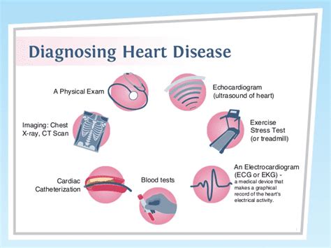 Understanding the Heartbeat: Diagnostic Insights