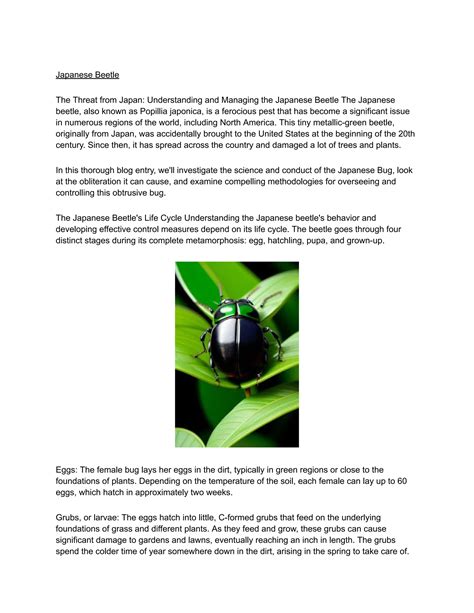 Understanding the Japanese Beetle and Its Behavior