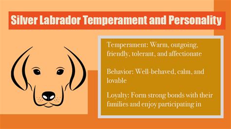 Understanding the Lab Temperament