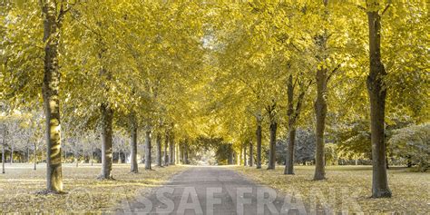 Understanding the Licensing Pathway